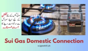 Sui Gas Connection